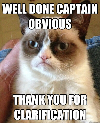 File:Well Done Captain Obvious.jpg