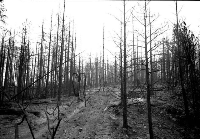 File:Slender-Man-1-1-.jpg