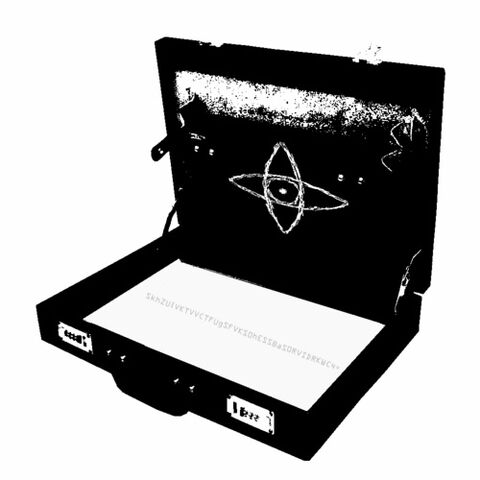 File:RuneOnSuitcase.comp.jpg