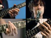Reptilia