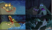 Alligator scene