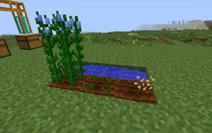 Flax Farming