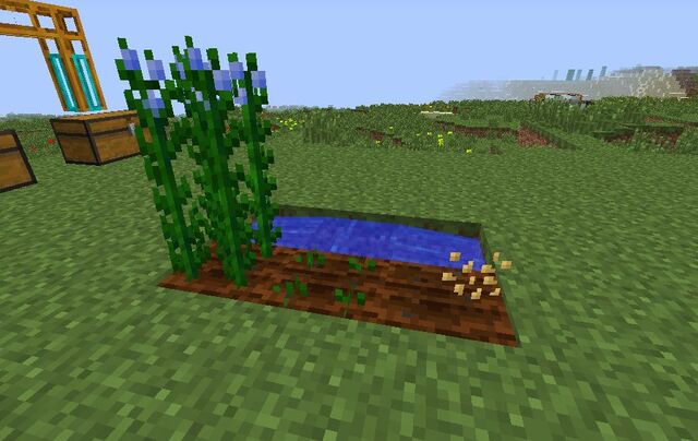 File:Flax Farming.jpg
