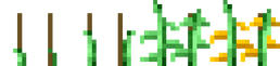 Aurlia