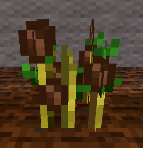 File:Cocoa1.png