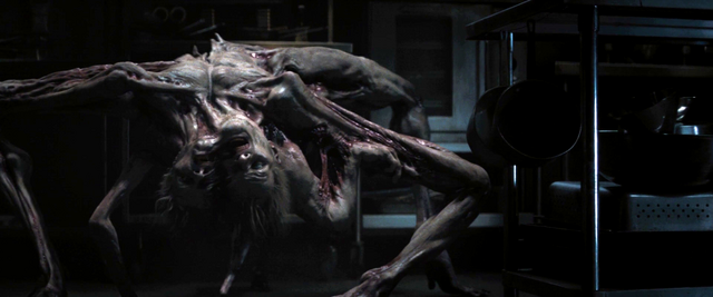 File:Vlcsnap-2011-12-30-01h42m04s118.png