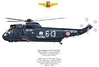 SeaKing