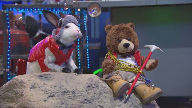 File:Drcolossoandhisbear.jpg