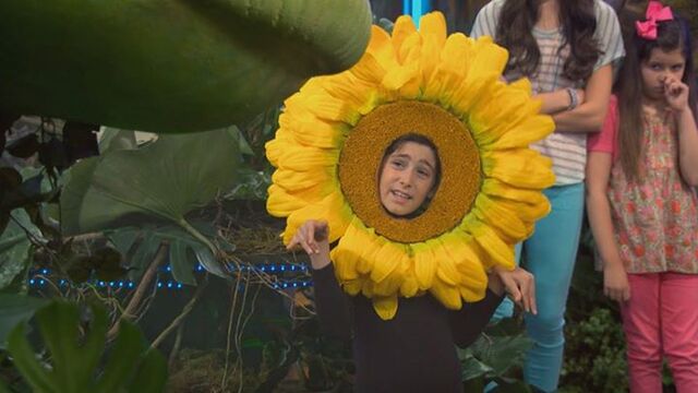 File:Billyflowerweekendguest.jpg