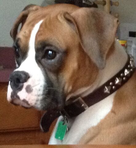 File:Maddie so cute image.jpg