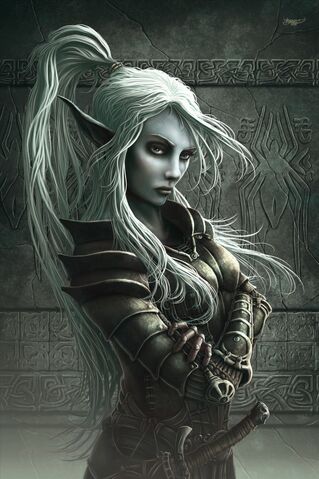 File:Drow Fighter.jpg
