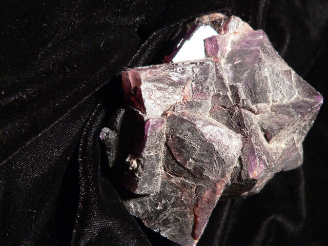 File:Zodiac Ore.jpg