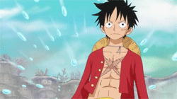 Kenbunshoku Haki Infobox