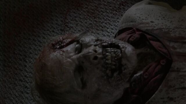 Archivo:TWD 0853.jpg