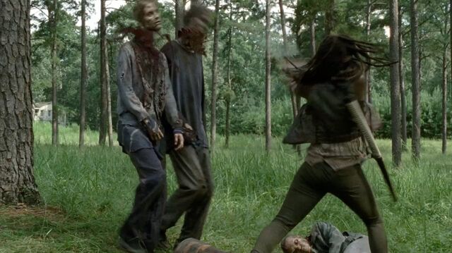 Archivo:TWD-2150.jpg
