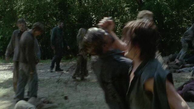 Archivo:TWD1357.jpg