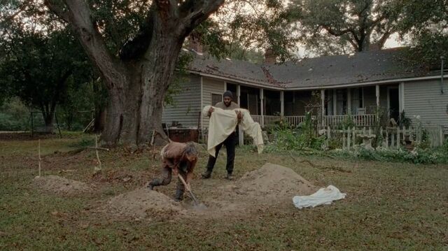 Archivo:Twd0414-1983.jpg