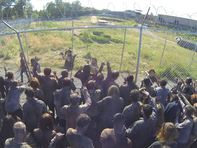 Archivo:Infected TWD.jpg