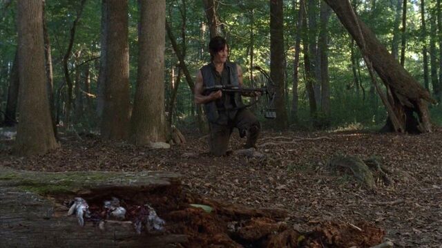 Archivo:Twd0410-0224.jpg