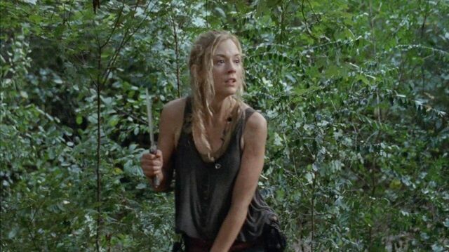 Archivo:TWD-0348.jpg
