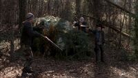 Twd316-001601.jpg