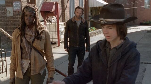 Archivo:Twd0416-1614.jpg