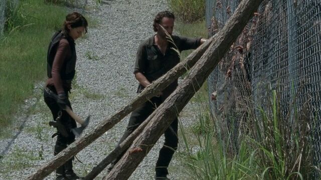 Archivo:TWD-1063.jpg