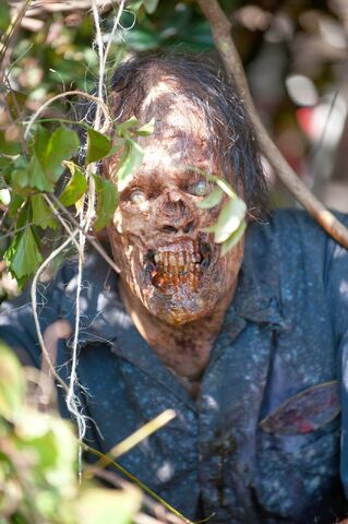 Archivo:TWD 404 GP 0611 0214.jpg