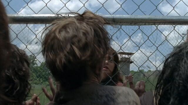 Archivo:TWD-0451.jpg
