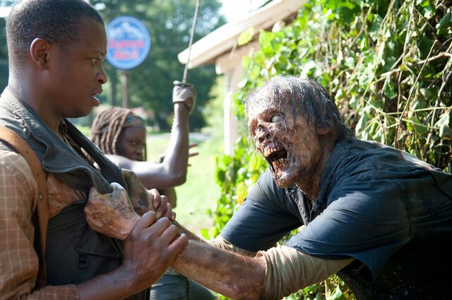 Archivo:TWD 404 GP 0611 0270.jpg