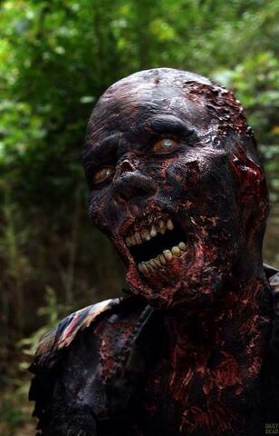 Archivo:Walker.jpg