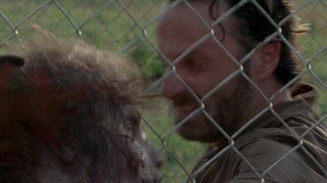 Archivo:TWD 1098.jpg