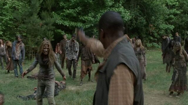 Archivo:TWD-2494.jpg