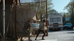 Twd0616-0540