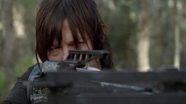 Archivo:TWD 0317.jpg