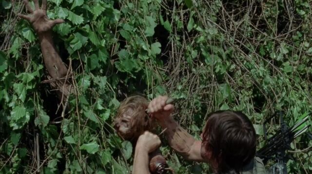 Archivo:TWD 0434.jpg