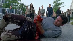Twd0708-2922.jpg