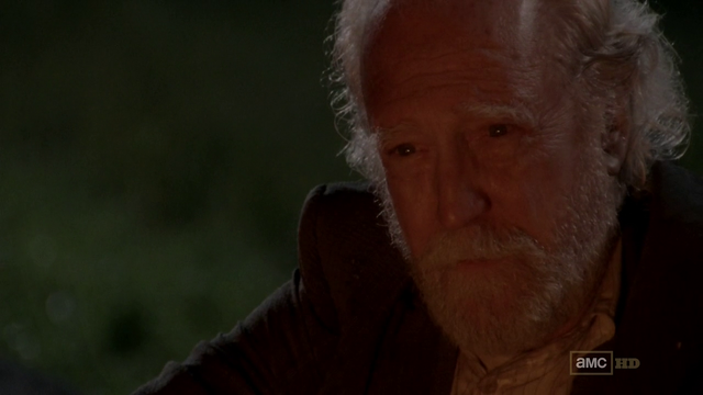 Datei:Hershel am Lagerfeuer.png