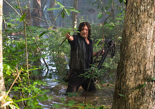 Datei:Daryl.jpg