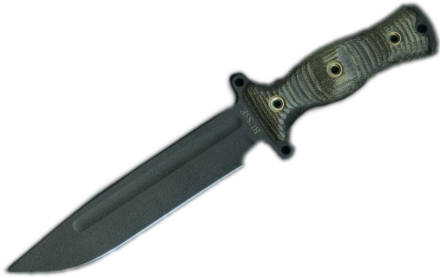 Datei:Busse Combat Team Gemini.png