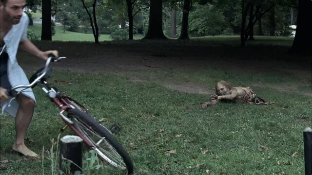 Datei:Fahrrad.jpg