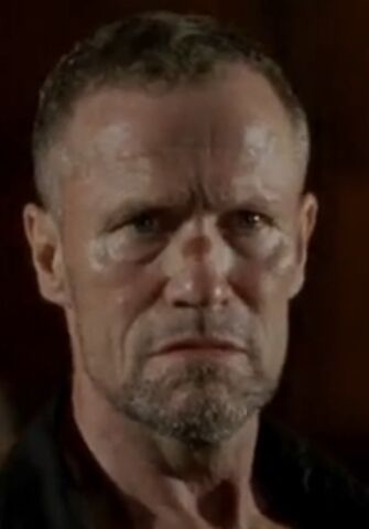Datei:Merle 2.jpg