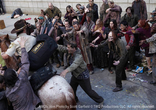 Datei:Pferd Zombies.jpg