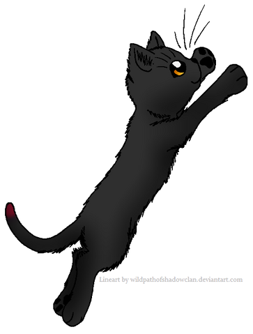 File:Berryleaf.warrior.png