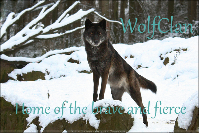 File:WolfClan.png