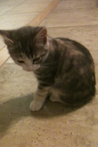 File:Billie.png