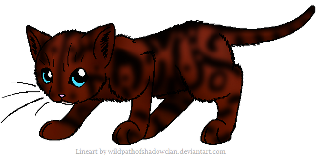 File:Poppypaw.png