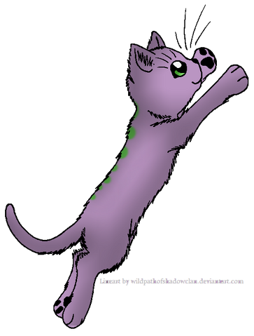 File:Spike cat.png