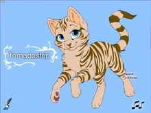 Tornadostripe-kit