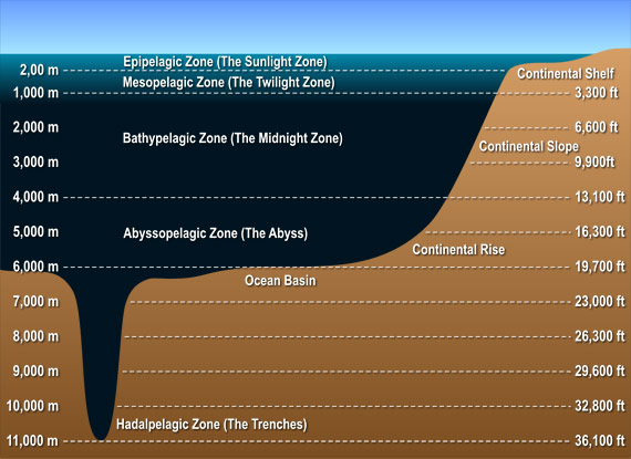File:Ocean-layers-diagram.jpg